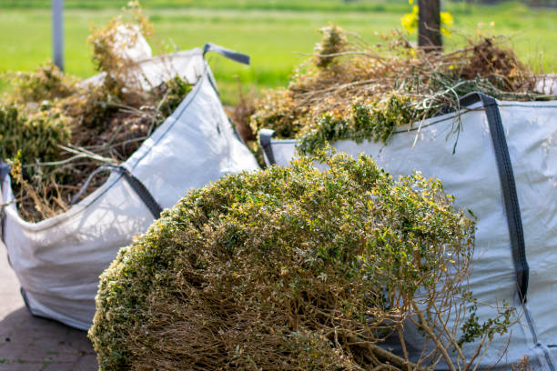 Same-Day Junk Removal Services in Pataskala, OH